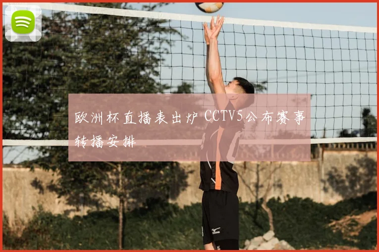 欧洲杯直播表出炉 CCTV5公布赛事转播安排