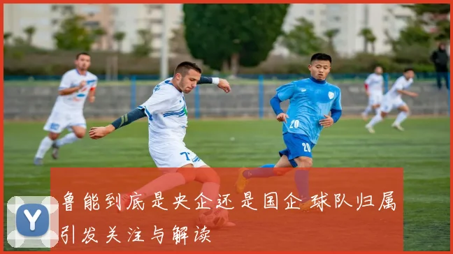 鲁能到底是央企还是国企 球队归属引发关注与解读