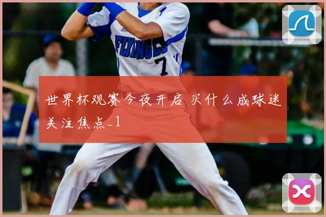 世界杯观赛今夜开启 买什么成球迷关注焦点_1